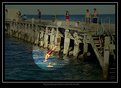 Picture Title - Jetty Head Diving