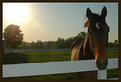 Picture Title - Stables at Sunset