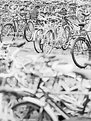 Picture Title - bikes #2