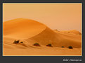 Picture Title - Sand Dunes