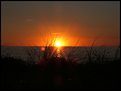 Picture Title - phillip island sunset