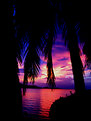 Picture Title - Tropical sunset 2