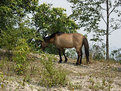 Picture Title - Just taking a rest...