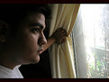 Picture Title - Looking at the window