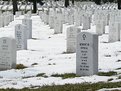 Picture Title - we will not forget...