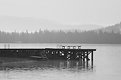 Picture Title - Gray Morning