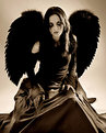 Picture Title - Fallen Angel