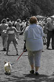 Picture Title - On a Leash