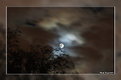 Picture Title - Haunting Moon