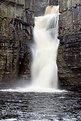 Picture Title - HIGH FORCE