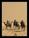 Picture Title - In the desert