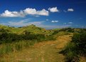 Picture Title - Goat trail