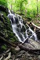 Picture Title - Ramapo Water Fall