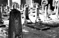 Picture Title - russian graveyard