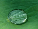 Picture Title - Water drop