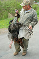 Picture Title - Mongo's Turkey