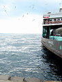 Picture Title - FeRRyBoAt