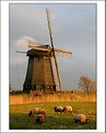 Picture Title - Windmill