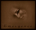 Picture Title - Emergence