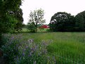 Picture Title - Red Barn