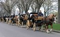 Picture Title - students visiting Québec city