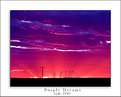 Picture Title - Purple Dreams