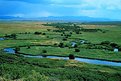 Picture Title - Illinois River