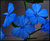 Plumbago
