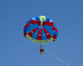Picture Title - Flying High