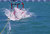 Splash Down