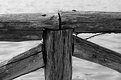 Picture Title - Fence