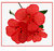 Red Blossom