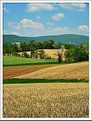 Picture Title - Pastures (vertical)
