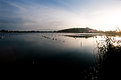 Picture Title - mussle cultivation