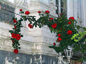 Picture Title - crown