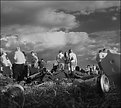 Picture Title - Preakness Aftermath