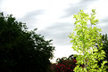Picture Title - Beauty at my Door