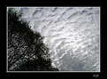 Picture Title - Moving clouds