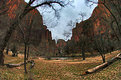 Picture Title - Zion Utah