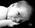 Picture Title - Hush Little Baby