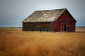 Picture Title - Prairie Solitude #9