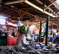 Picture Title - A Lady Fishmonger