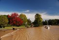 Picture Title - Sunny day at the Tigre River