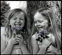 Picture Title - giggly sisters