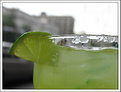 Picture Title - Sidewalk Margarita