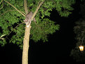 Picture Title - help me...