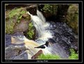 Picture Title - Spring Falls