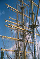 Picture Title - Cisne Branco Masts