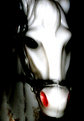 Picture Title - eery horse revised