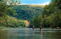 Picture Title - spring on Oil creek PA